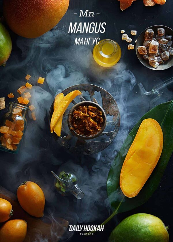 Дарксайд Україна купити тютюн Daily Hookah Mangus (Мангус) 250 г