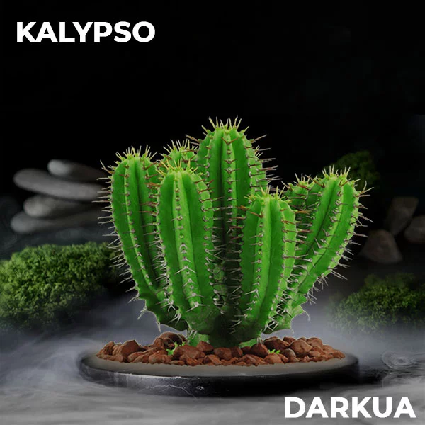 Купити тютюн Darkua Kalypso (Кактус) Замовити тютюн Darkua Kalypso (Кактус)