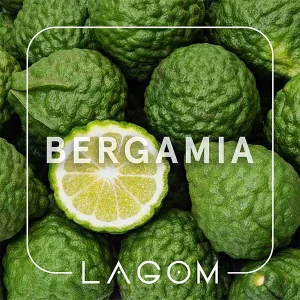 Замовити тютюн Lagom Navy 40g. Bergamia
