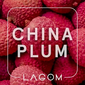 Замовити тютюн Lagom Navy 40g. China Plum