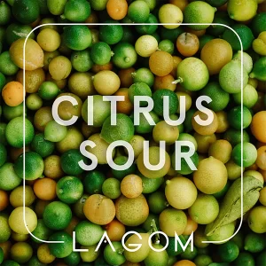 Замовити тютюн Lagom Navy 40g. Citrus Sour
