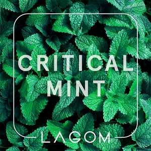 Замовити тютюн Lagom Navy 40g. Critical Mint