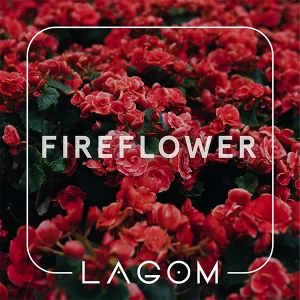 Замовити тютюн Lagom Navy 40g. Fire Flower
