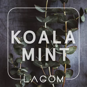 Замовити тютюн Lagom Navy 40g. Koala Mint