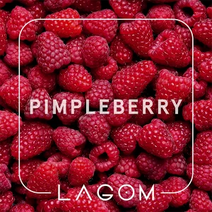 Замовити тютюн Lagom Navy 40g. Pimpleberry