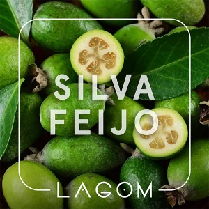 Замовити тютюн Lagom Navy 40g. Silva Feijo