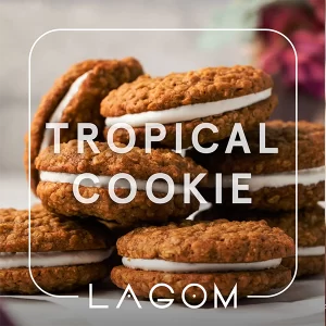 Замовити тютюн Lagom Navy 40g. Tropical Cookie