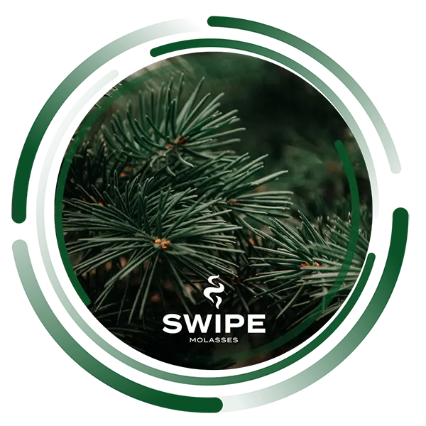 Замовити безтютюнову суміш Swipe 50g. Easy Needles