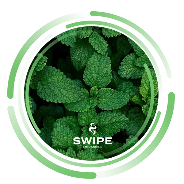 Замовити безтютюнову суміш Swipe 50g. Mint