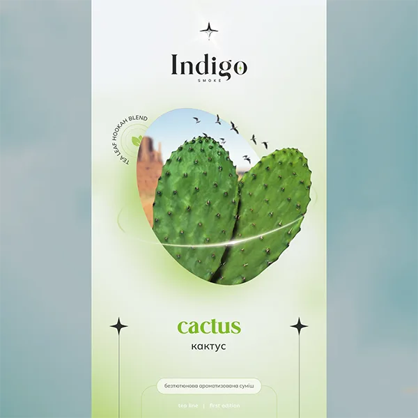 Замовити безтютюнову суміш Indigo 100g. Cactus