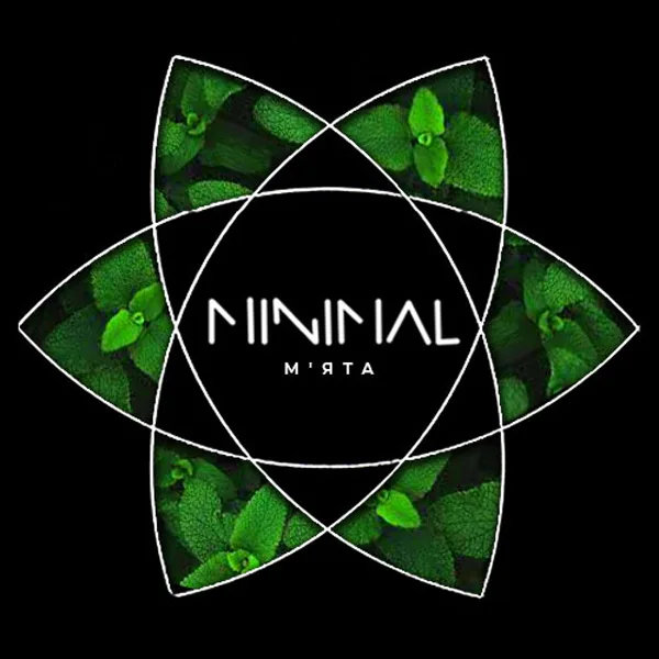 Замовити тютюн Minimal 50g. Mint (М'ята)